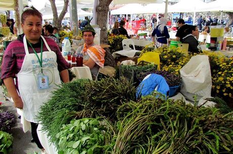 Çeşme - Alaçatı Ot Festivali Turu