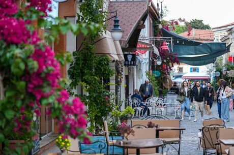 Seferihisar Mandalina Festivali