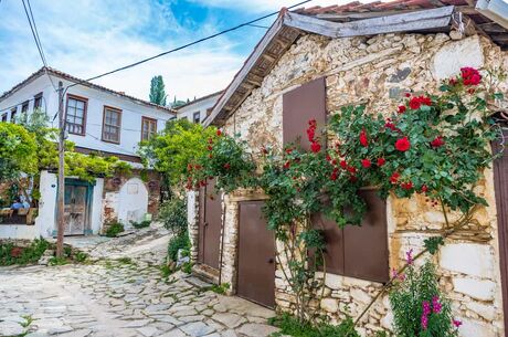 Domatia Rum Köyü - Karina - Şirince Turu