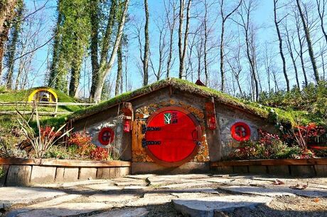 Ormanya-Maşukiye-Sapanca Turu